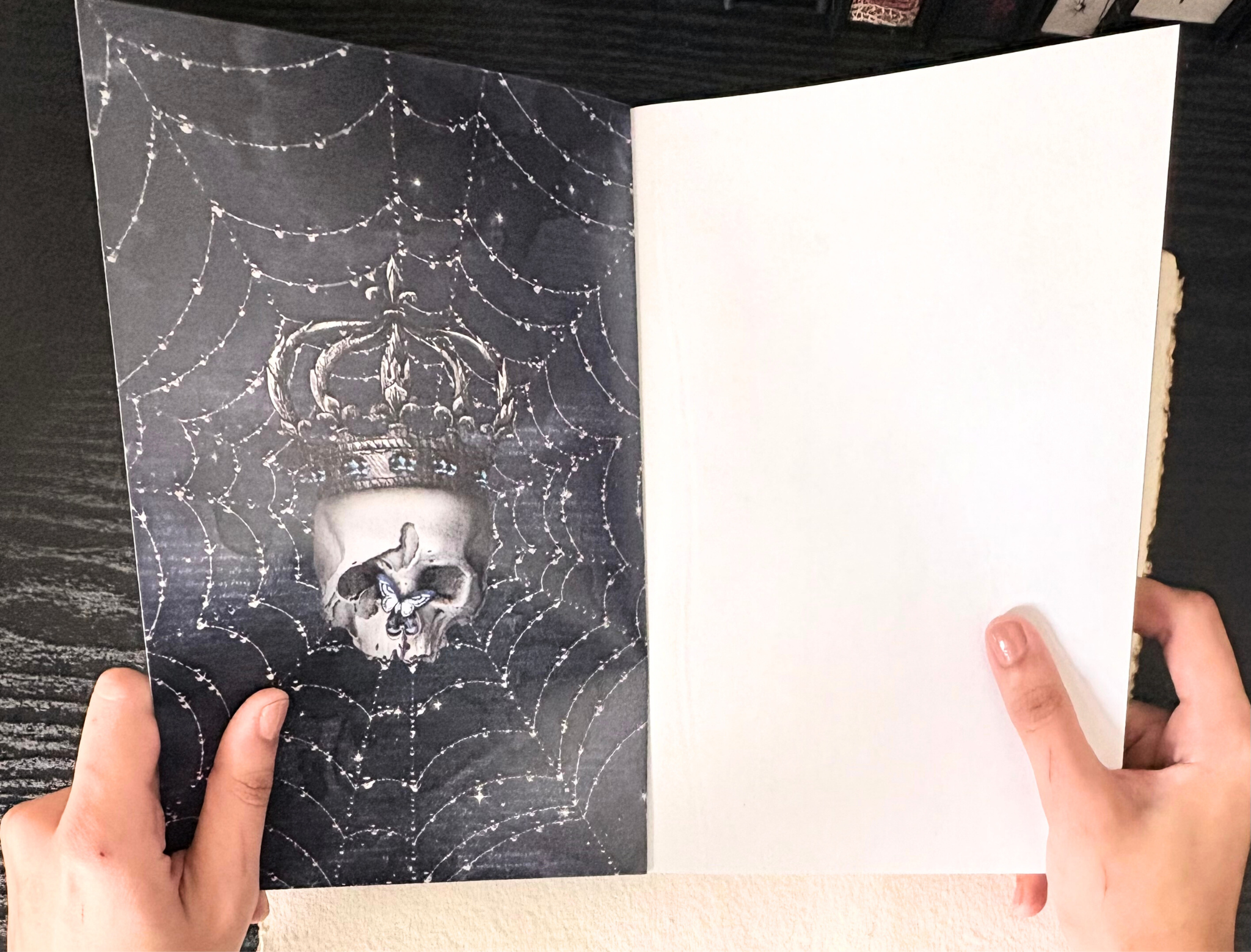 PRINCE OF NIGHT & STORM