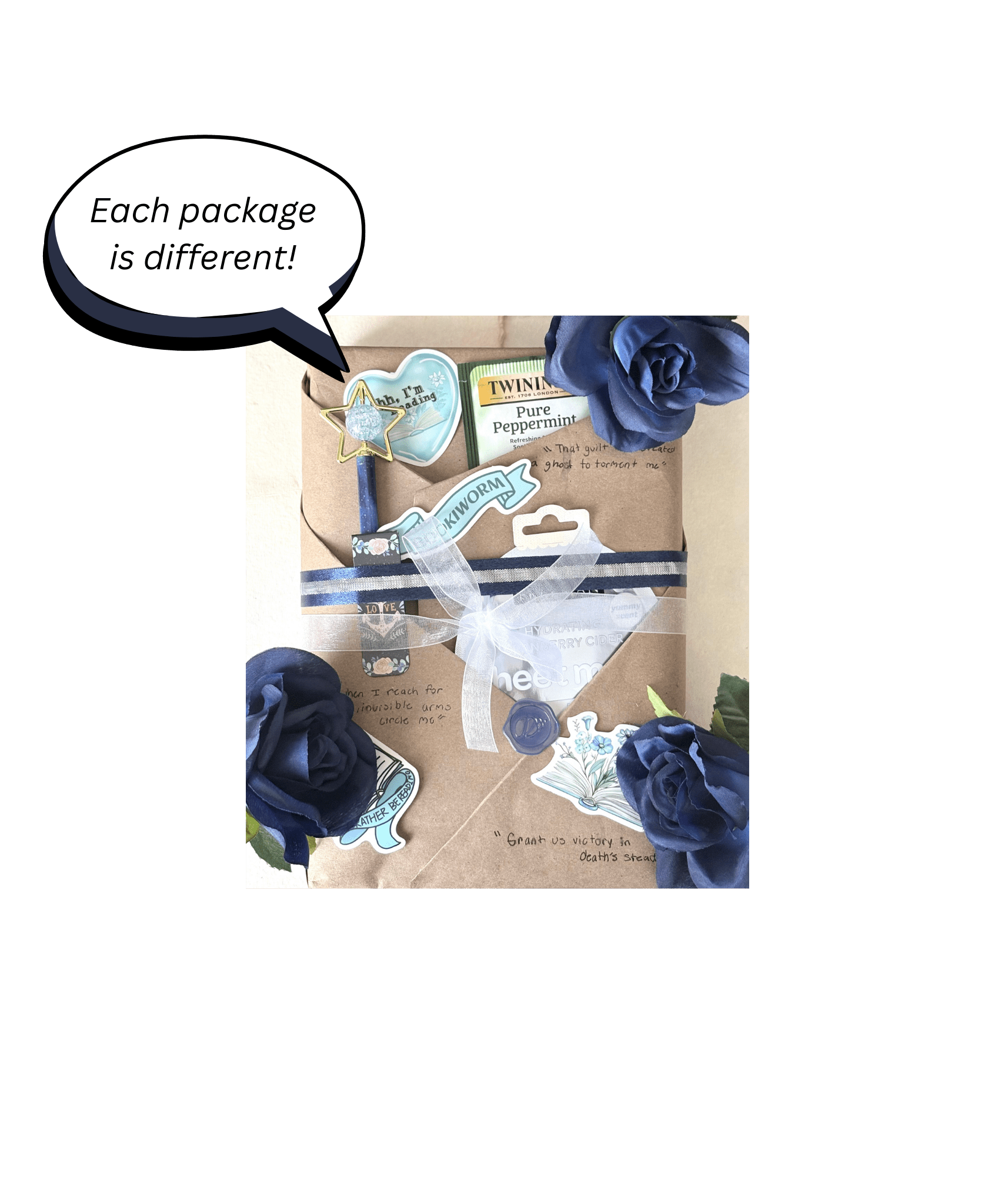 PRINCE OF NIGHT & STORM - Emma Alisyn Fae