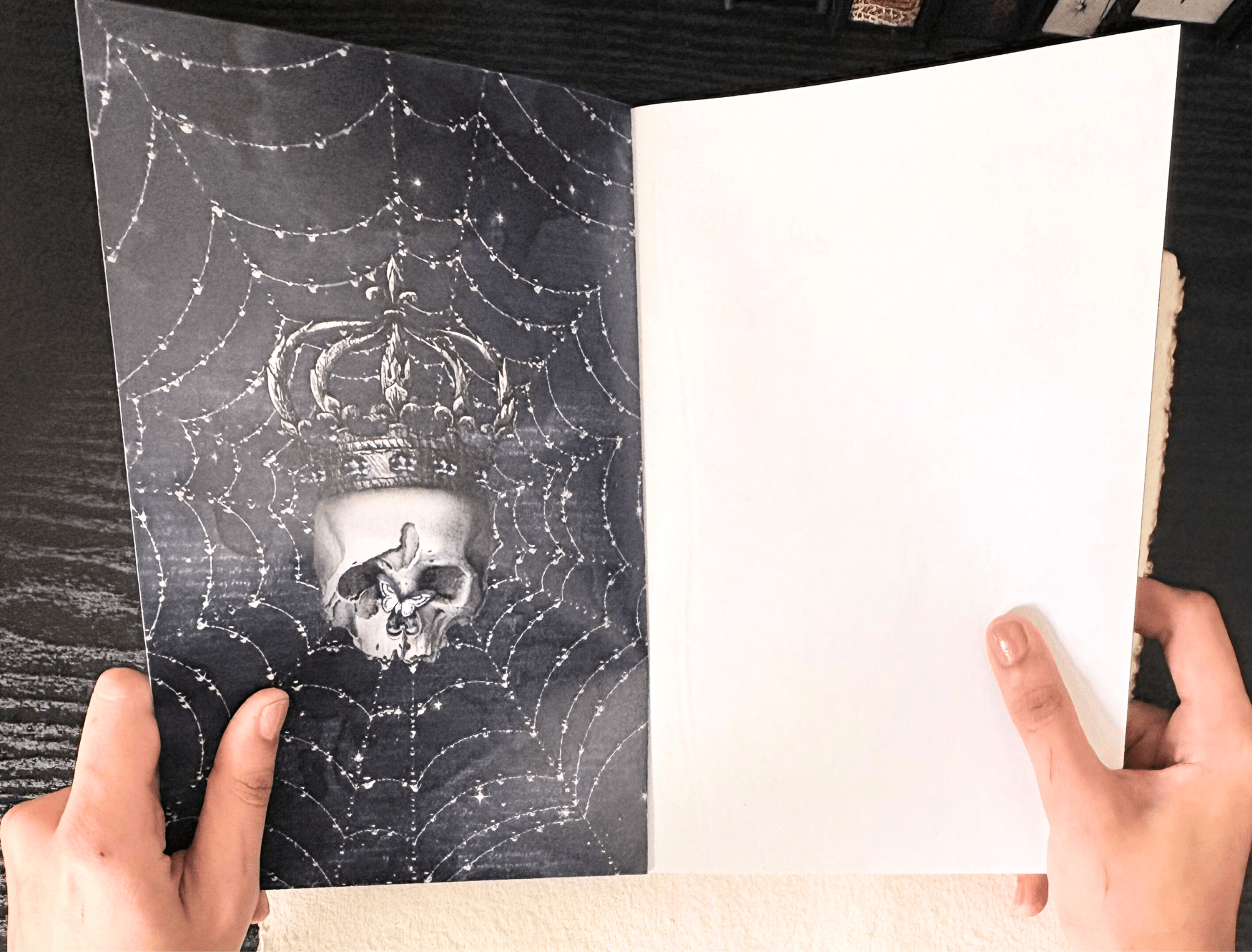 PRINCE OF NIGHT & STORM - Emma Alisyn Fae